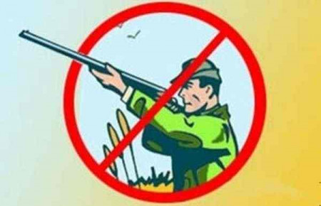 В Воронежской области запретили охоту 