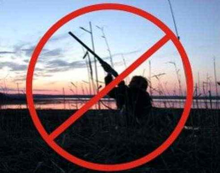 Орнитологи просят Минприроды РФ запретить весеннюю охоту