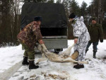 Отстрел волка в Казахстане