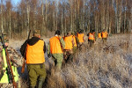 Открытие сезона по ДКЖ в Гагаринском охотхозяйстве
