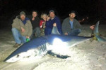 Американский рыбак поймал 270-килограммовую акулу-мако