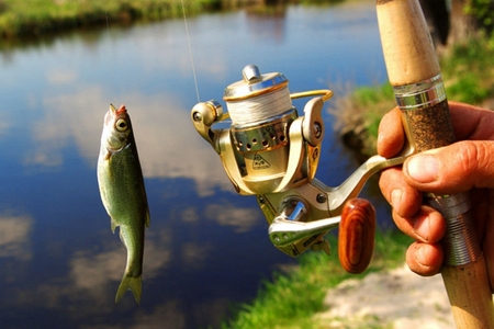 Как ловить рыбу во время запрета