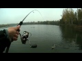 Рыбалка на щуку - отчёт с последней рыбалки