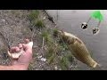 Рыбалка весной - фидерная кормушка и поплавочная удочка